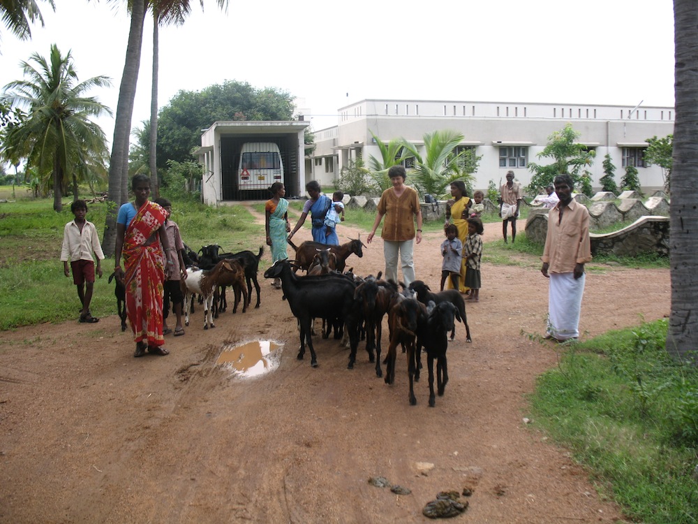 India-Mamallapuram 2010.jpg