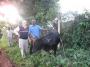 View The Uganda 2013 Album